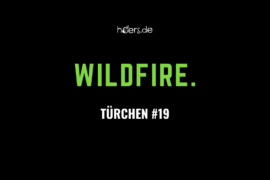 Türchen #19 // wildfire.